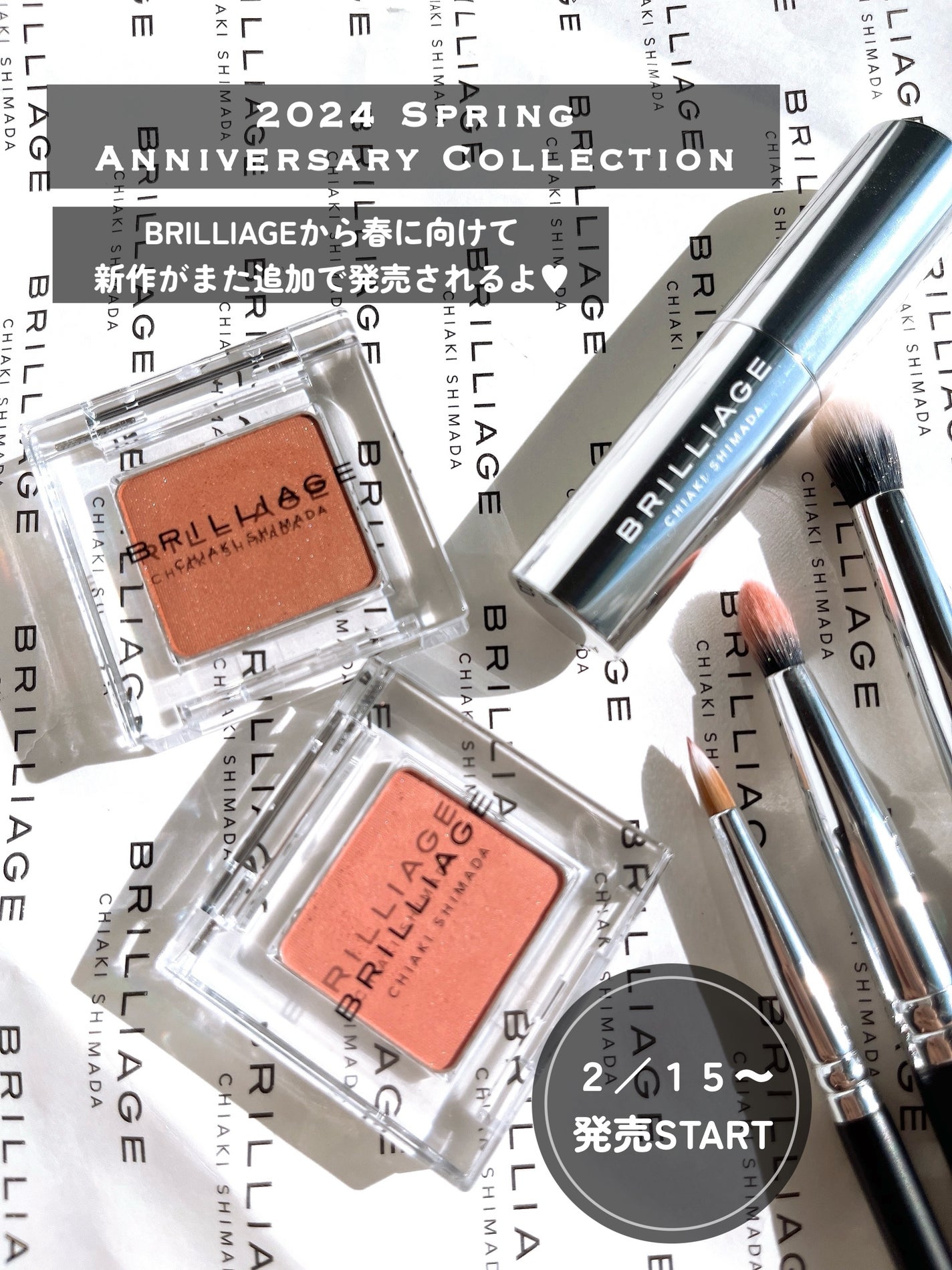 ワンダークリエイション /ブリリアージュ/単色アイシャドウを使ったクチコミ(2枚目)