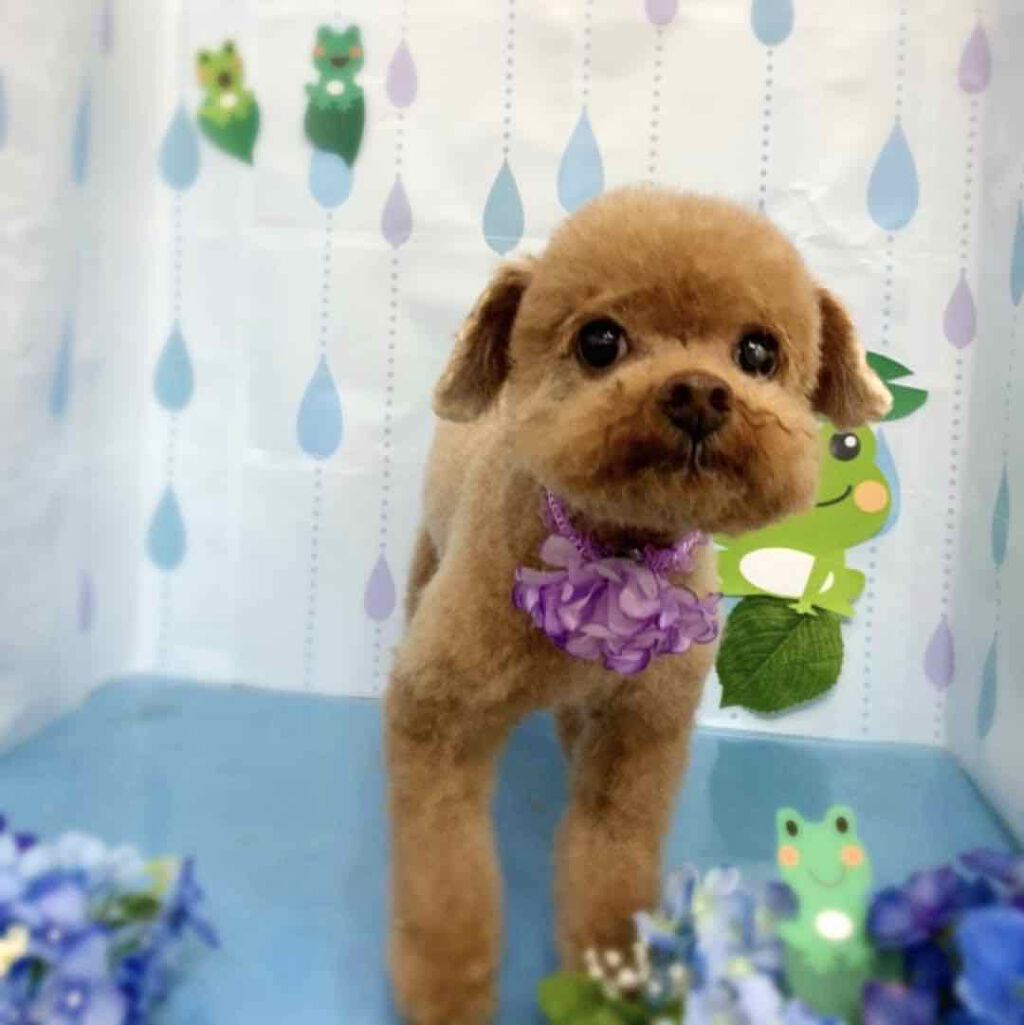 リアルクローズシャドウ/excel/アイシャドウパレットを使ったクチコミ(2枚目)