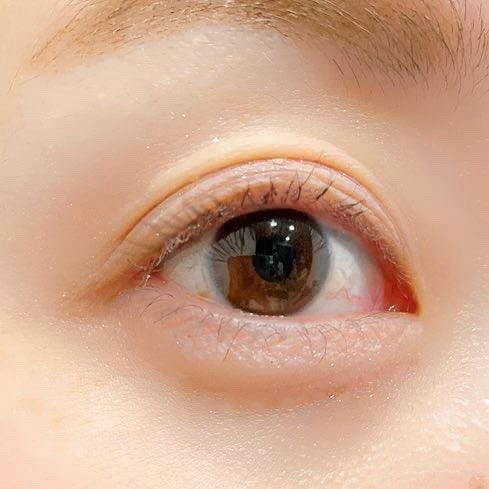 リターントゥーベーシックシャドウパレット/ABOUT TONE/アイシャドウパレットを使ったクチコミ(6枚目)