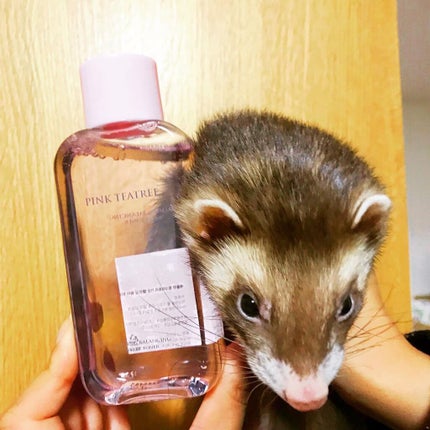 ピンクティーツリートナー/APLIN/化粧水を使ったクチコミ(2枚目)