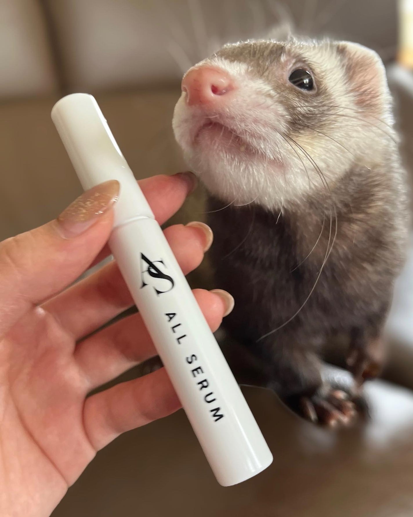 しゅわちゃん on LIPS 「まつ毛、まゆ毛の目元美容液👀︎💕︎【アイオールセラム】5つの植..」(2枚目)