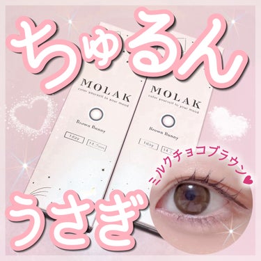 MOLAK 1day ブラウンバニー/MOLAK/ワンデー（１DAY）カラコンを使ったクチコミ（1枚目）