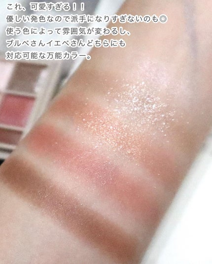 パノラマデザイン アイパレット/Visée/アイシャドウパレットを使ったクチコミ(4枚目)