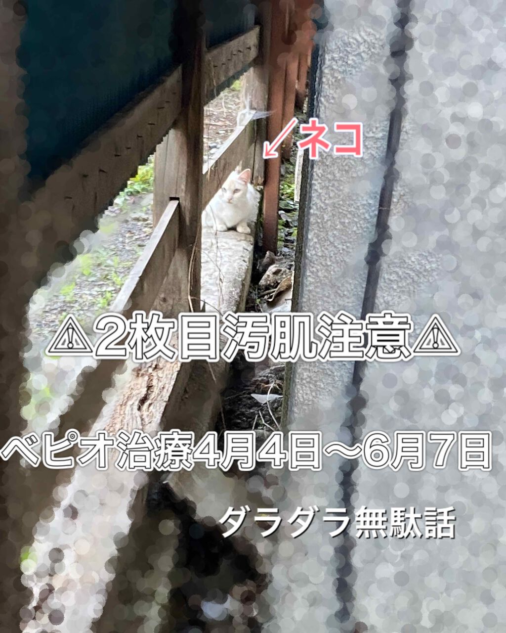 ロゼット洗顔パスタ 海泥スムース/ロゼット/洗顔フォームを使ったクチコミ(1枚目)