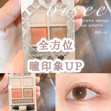 パノラマデザイン アイパレット/Visée/アイシャドウパレットを使ったクチコミ(1枚目)