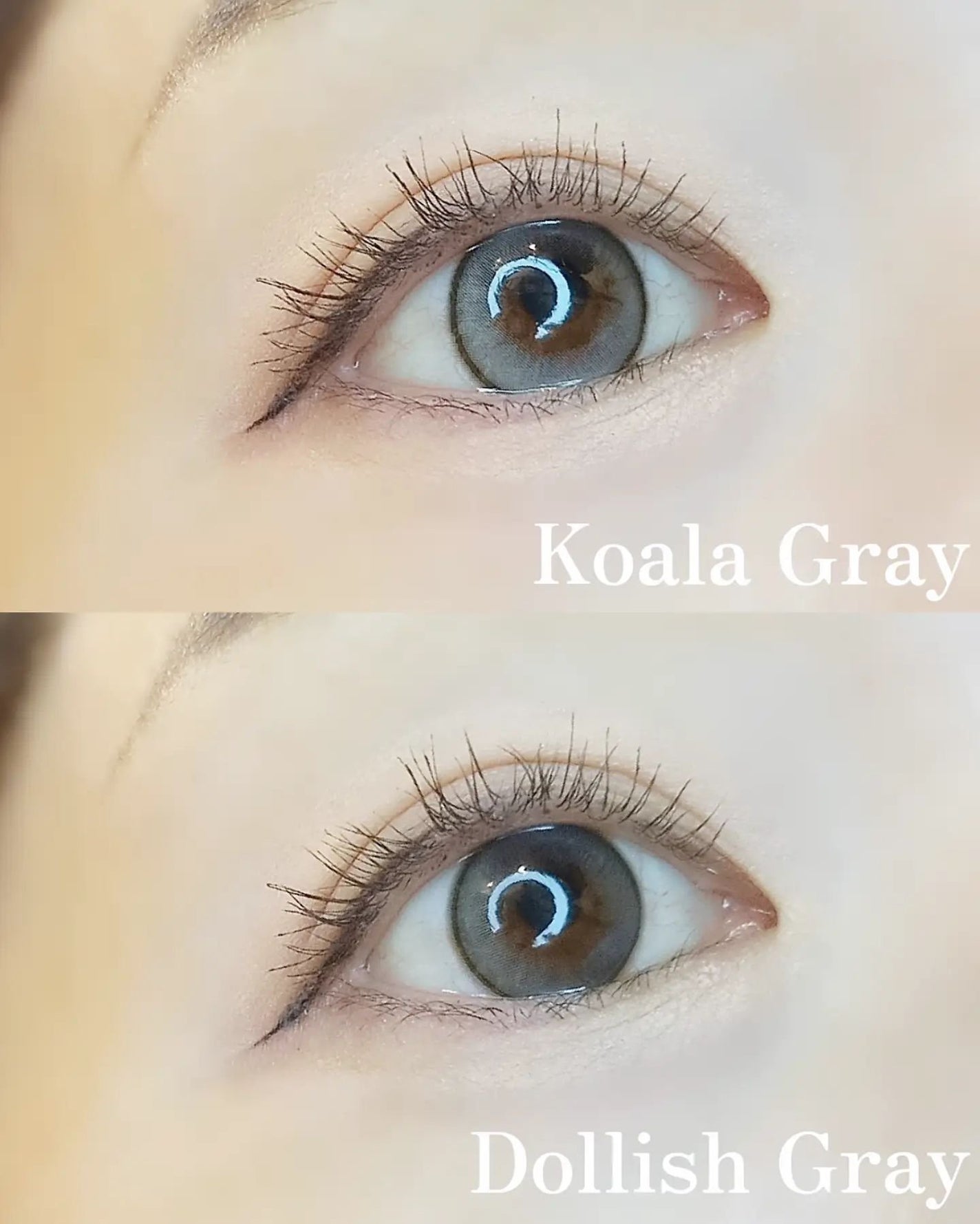 MOLAK 1day/MOLAK/ワンデー(1DAY)カラコンを使ったクチコミ(3枚目)