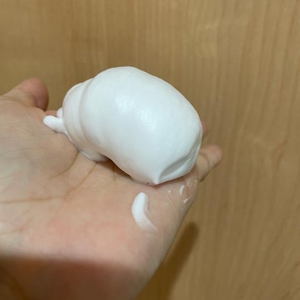 NON A./NONA/洗顔フォームを使ったクチコミ(5枚目)