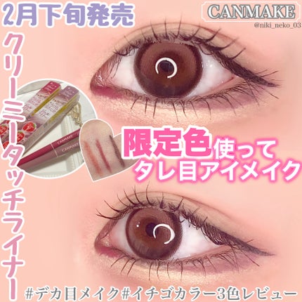 クリーミータッチライナー/キャンメイク/ジェルアイライナーを使ったクチコミ(1枚目)