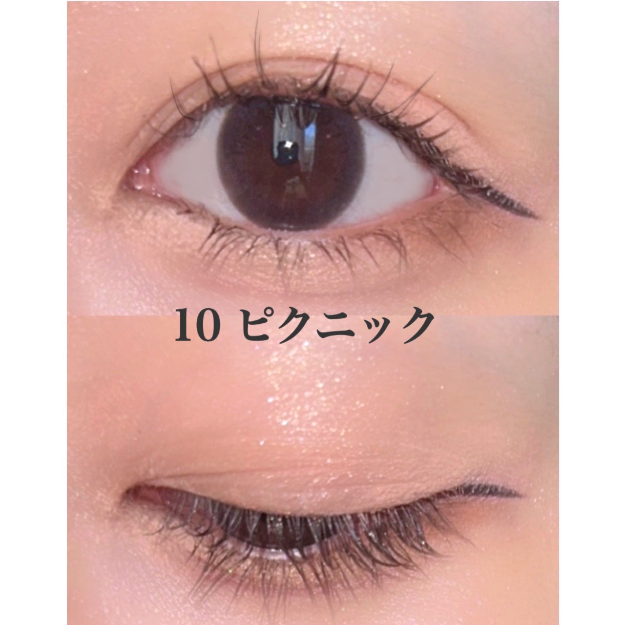 ベターミーアイパレット/2aN/マルチパレットを使ったクチコミ(2枚目)