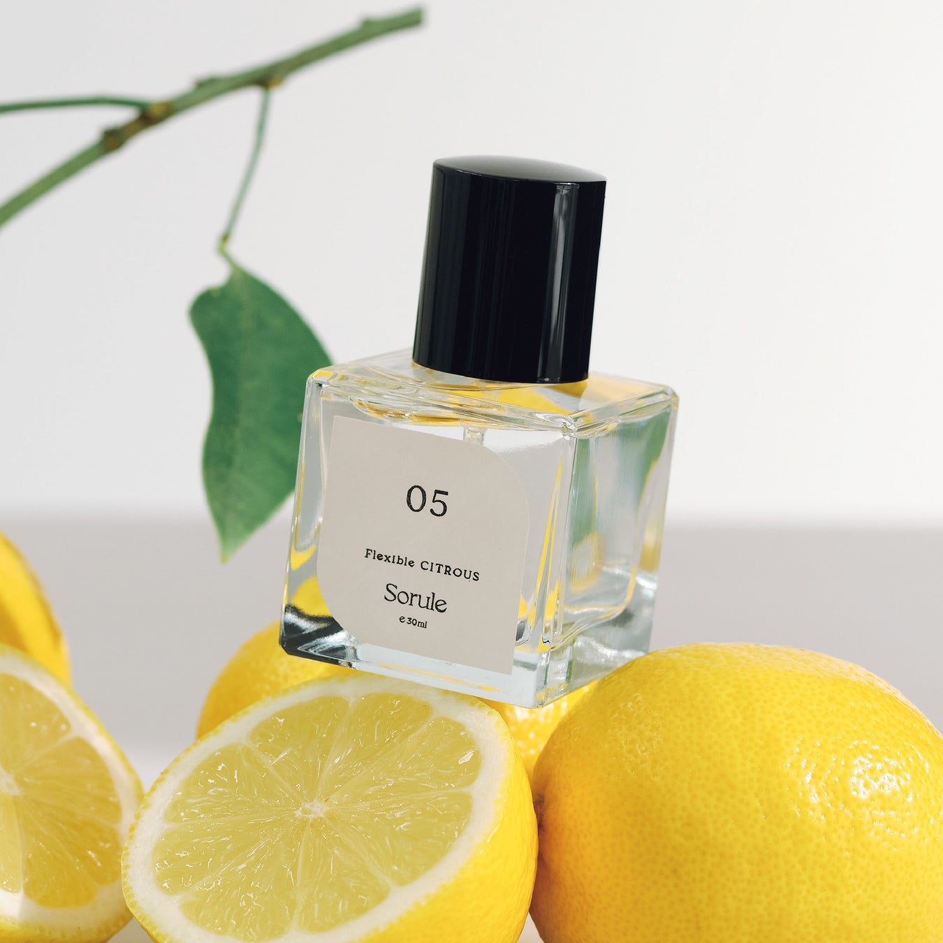 Sorule 05 フレキシブルシトラス