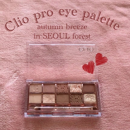 プロ アイ パレット/CLIO/アイシャドウパレットを使ったクチコミ(1枚目)