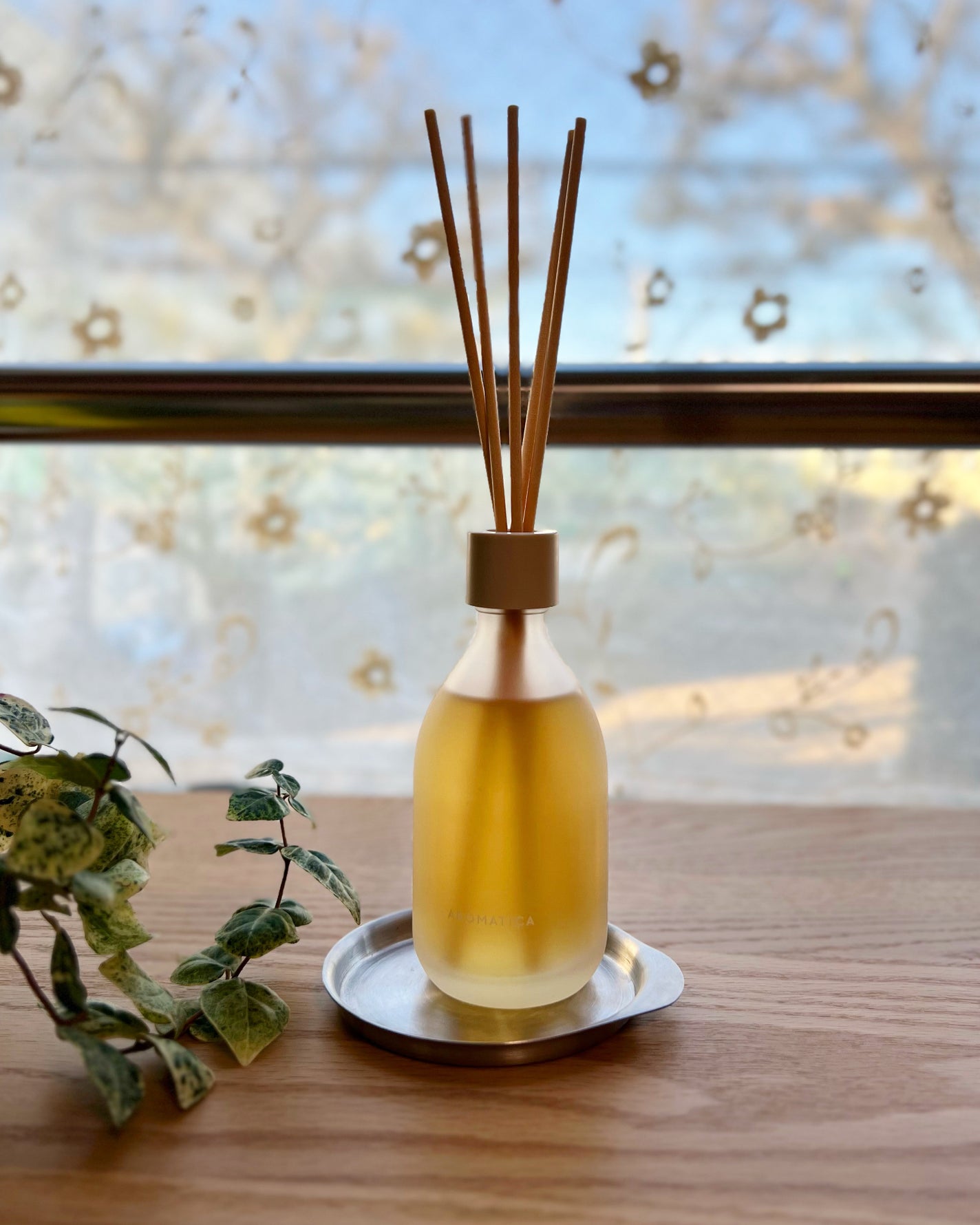 AROMATICA リードディフューザー メロウネス/AROMATICA/ルームフレグランスを使ったクチコミ(4枚目)