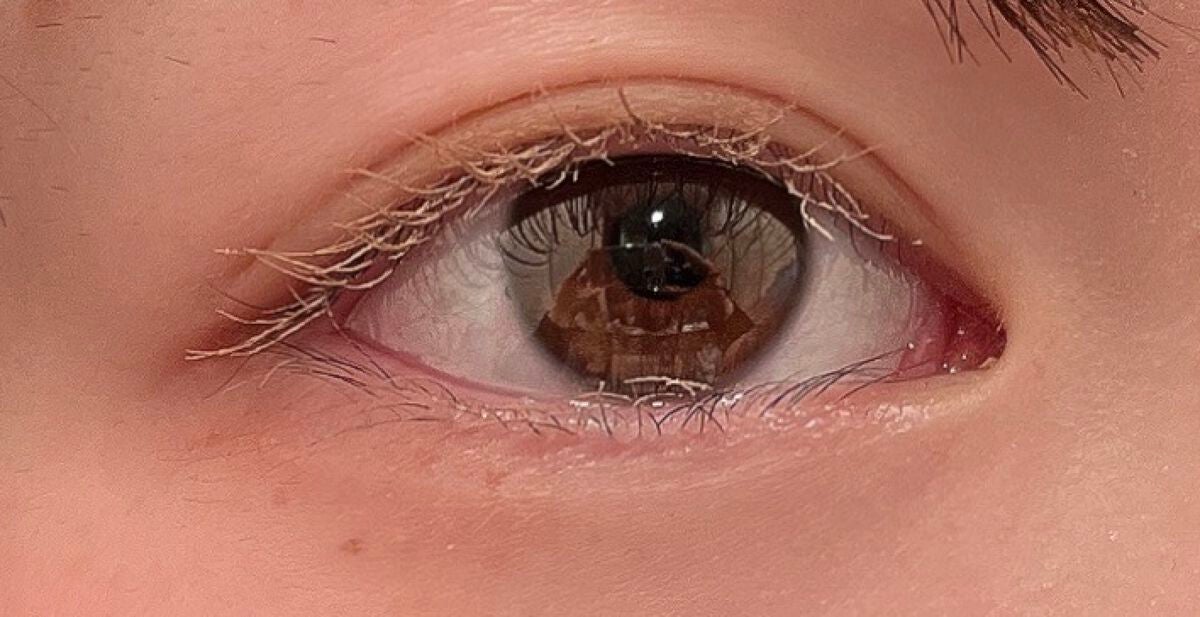 リトルエンジェルフェザーマットリップ/FlowerKnows/口紅を使ったクチコミ(5枚目)