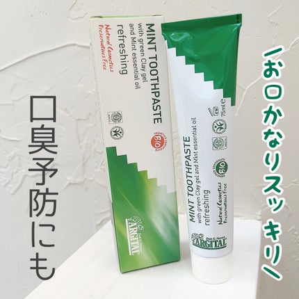 グリーンクレイ歯みがき(ミント)/ARGITAL/歯磨き粉を使ったクチコミ(1枚目)