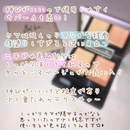 &be ファンシーラー/&be/パレットコンシーラーを使ったクチコミ(4枚目)