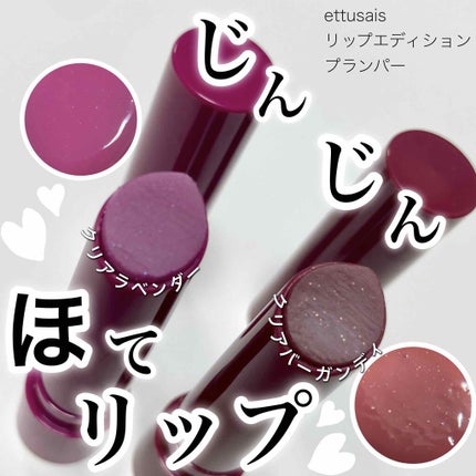 エテュセ リップエディション(プランパー)リッチスタイル/ヘルシースタイル/ettusais/リップケアを使ったクチコミ(1枚目)