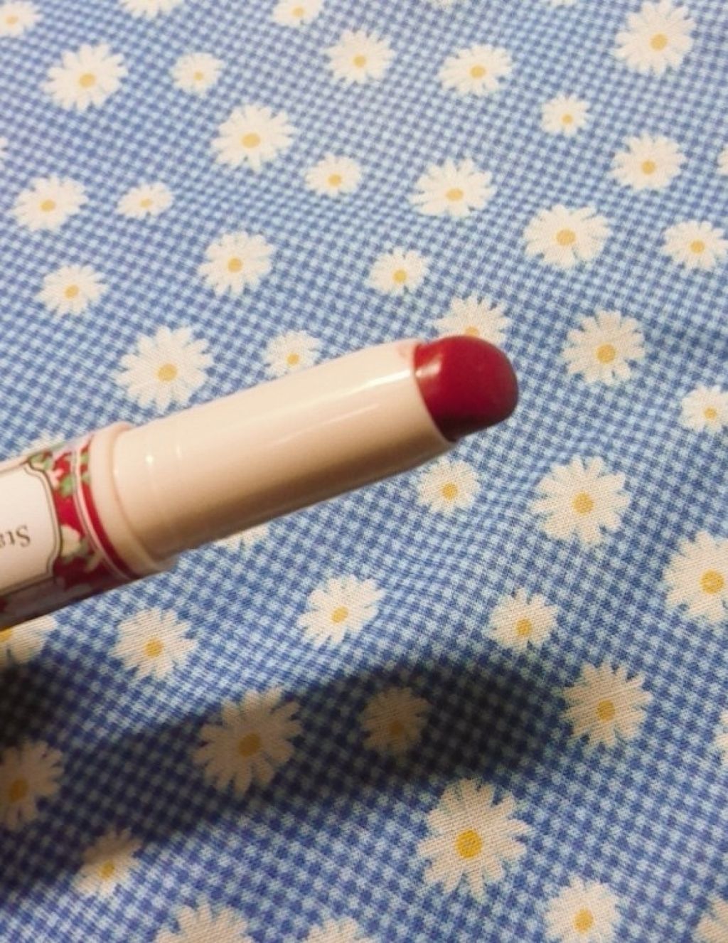 ステイオンバームルージュ/キャンメイク/口紅を使ったクチコミ（3枚目）