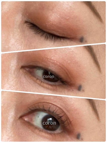 シルキースフレアイズ(マットタイプ)/キャンメイク/アイシャドウパレットを使ったクチコミ(2枚目)