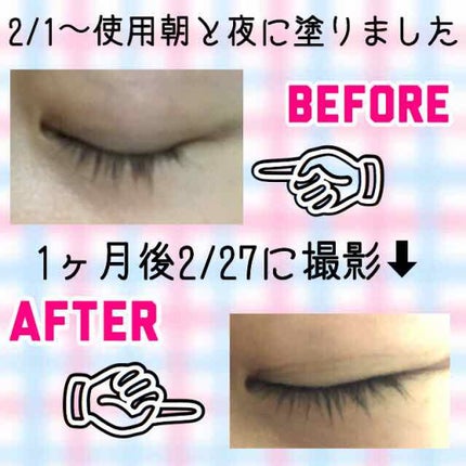 ラッシュジェリードロップ EX/MAJOLICA MAJORCA/まつげ美容液を使ったクチコミ(2枚目)