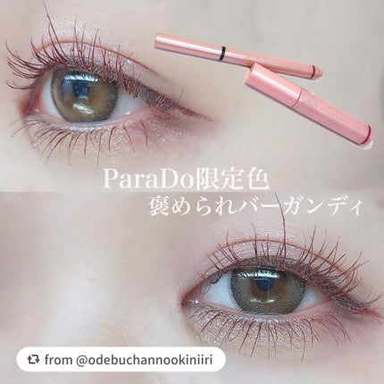 リキッドアイライナー /パラドゥ/リキッドアイライナーを使ったクチコミ(1枚目)