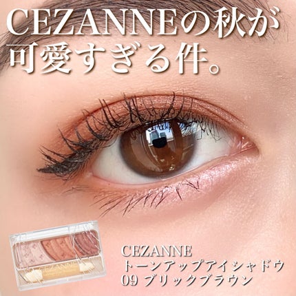 トーンアップアイシャドウ/CEZANNE/アイシャドウパレットを使ったクチコミ(1枚目)