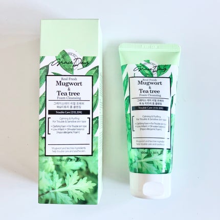 GRACEDAY Real Fresh Mugwort & Tea tree Foam Cleanser