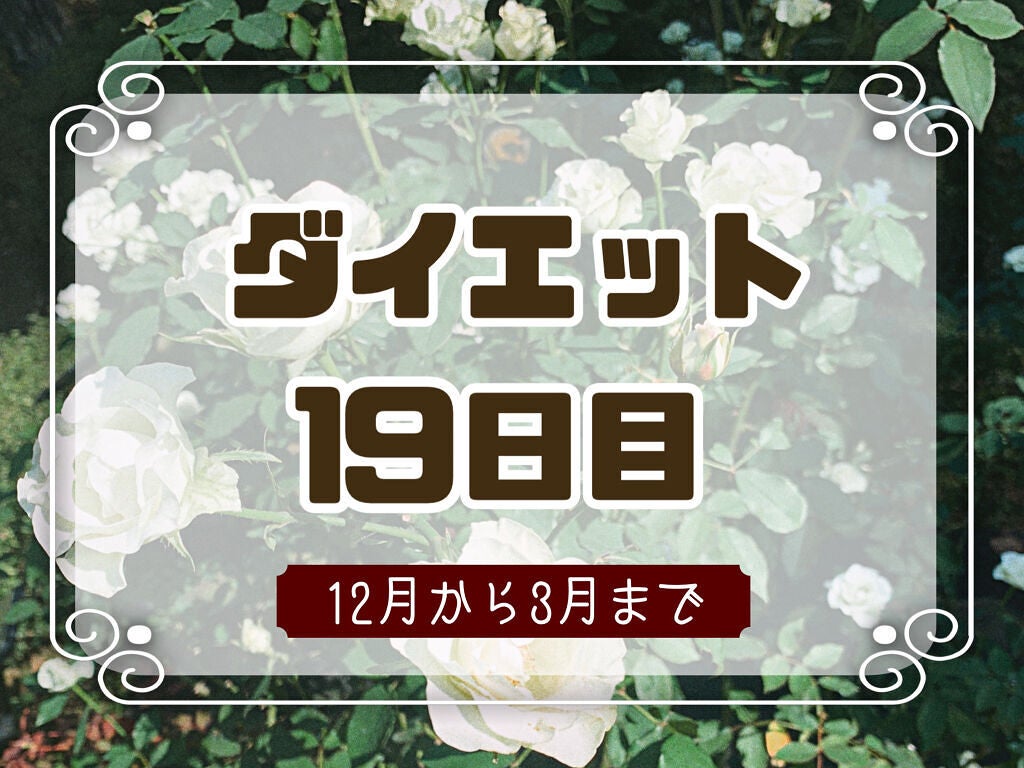 ryo〜フォロバ期間中〜 on LIPS 「❀ダイエット19日目❀--------------------..」(1枚目)