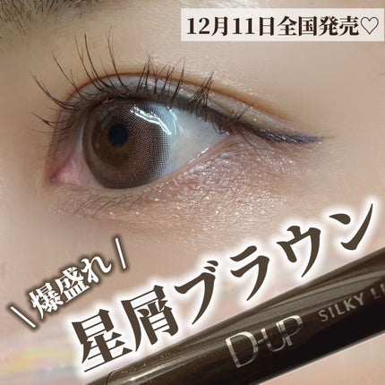 シルキーリキッドアイライナーWP/D-UP/リキッドアイライナーを使ったクチコミ(1枚目)