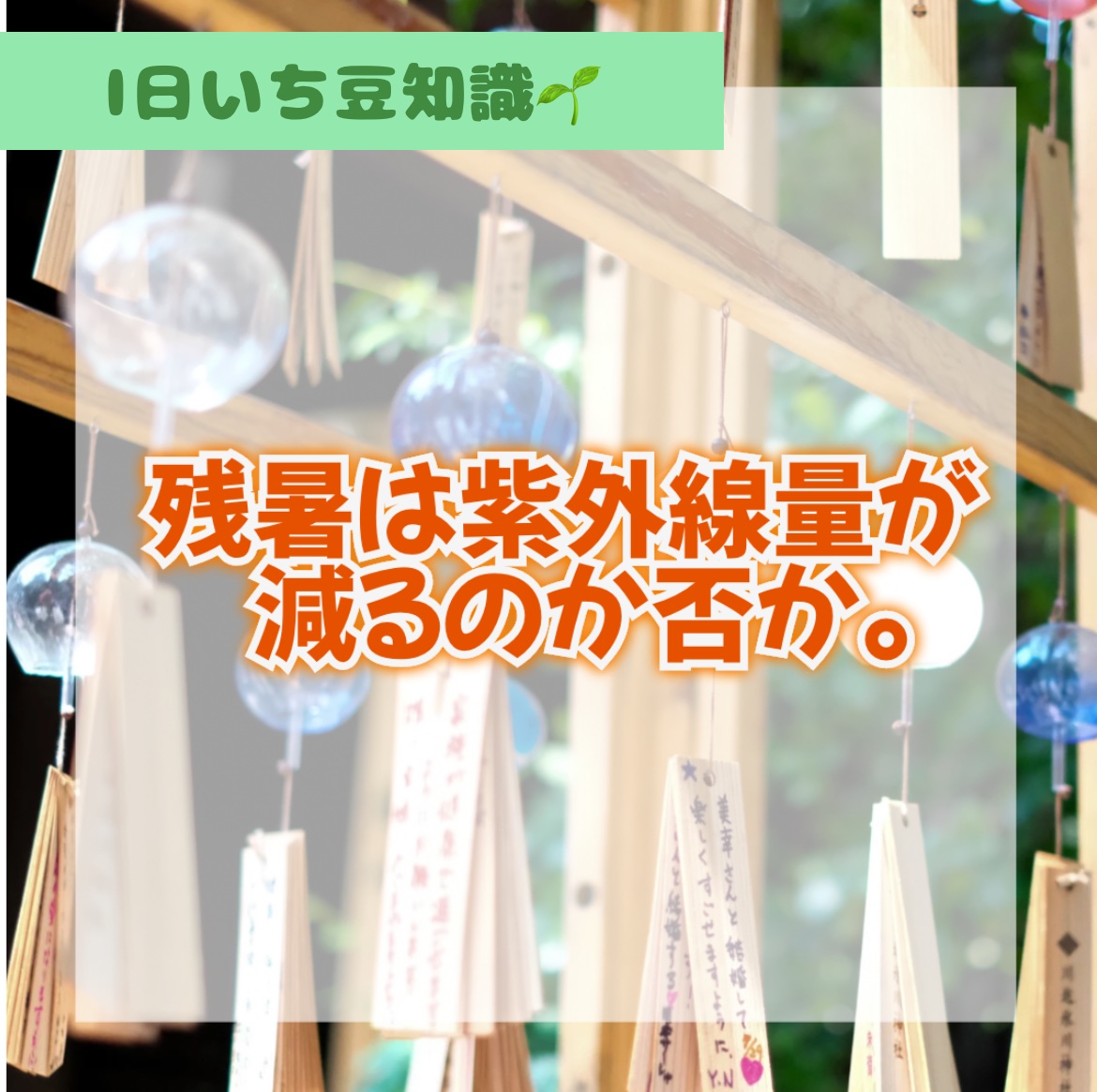 白潤プレミアム 薬用浸透美白化粧水(しっとりタイプ)/肌ラボ/化粧水を使ったクチコミ（1枚目）