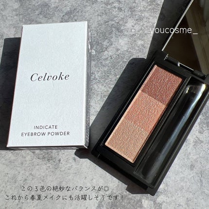セルヴォーク インディケイトアイブロウパウダー/Celvoke/パウダーアイブロウを使ったクチコミ(2枚目)