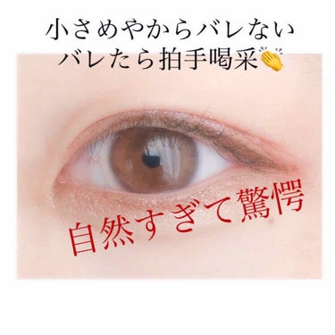 eye closet 1DAY（アイクローゼット ワンデー）/EYE CLOSET/ワンデー（１DAY）カラコンを使ったクチコミ（1枚目）