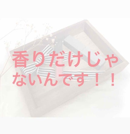 ジンジャーリップバター/SHIRO/リップグロスを使ったクチコミ(1枚目)