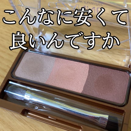 ノーズ&アイブロウパウダー/CEZANNE/パウダーアイブロウを使ったクチコミ(1枚目)