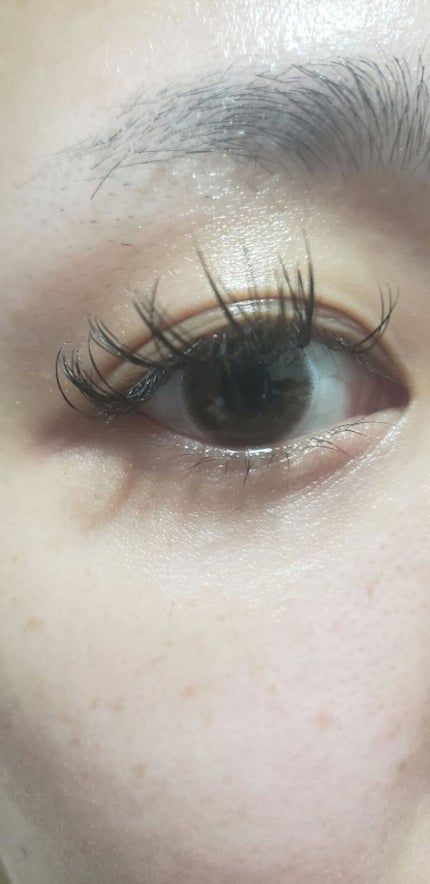 DHCアイラッシュトニック/DHC/まつげ美容液を使ったクチコミ(3枚目)