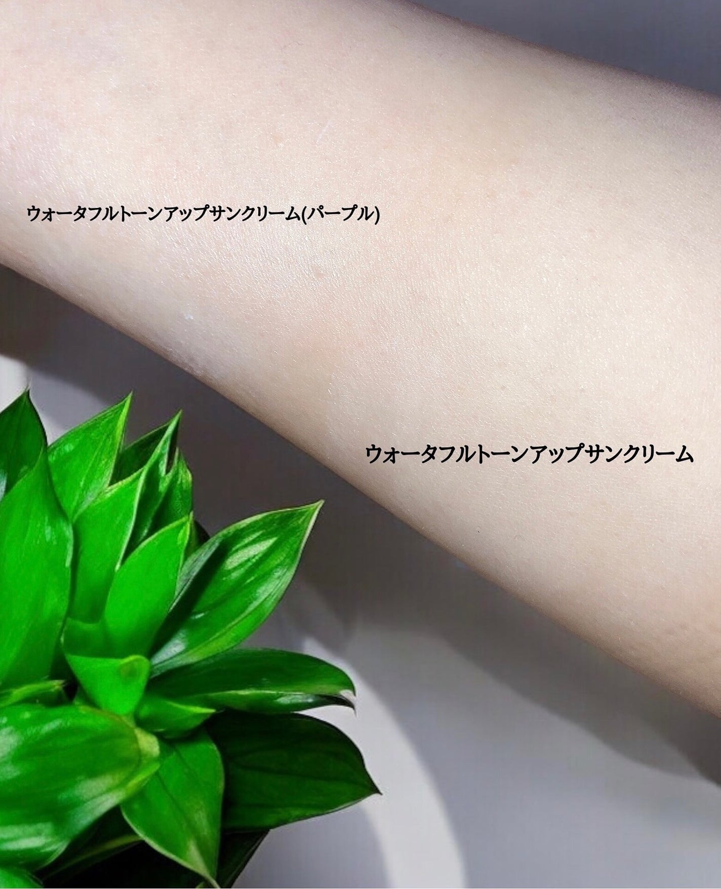 ダルバ ウォータフル トーンアップ サンクリーム(パープル)/ダルバ/日焼け止めクリームを使ったクチコミ(4枚目)