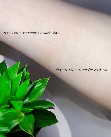 ダルバ ウォータフル トーンアップ サンクリーム(パープル)/ダルバ/日焼け止めクリームを使ったクチコミ(4枚目)