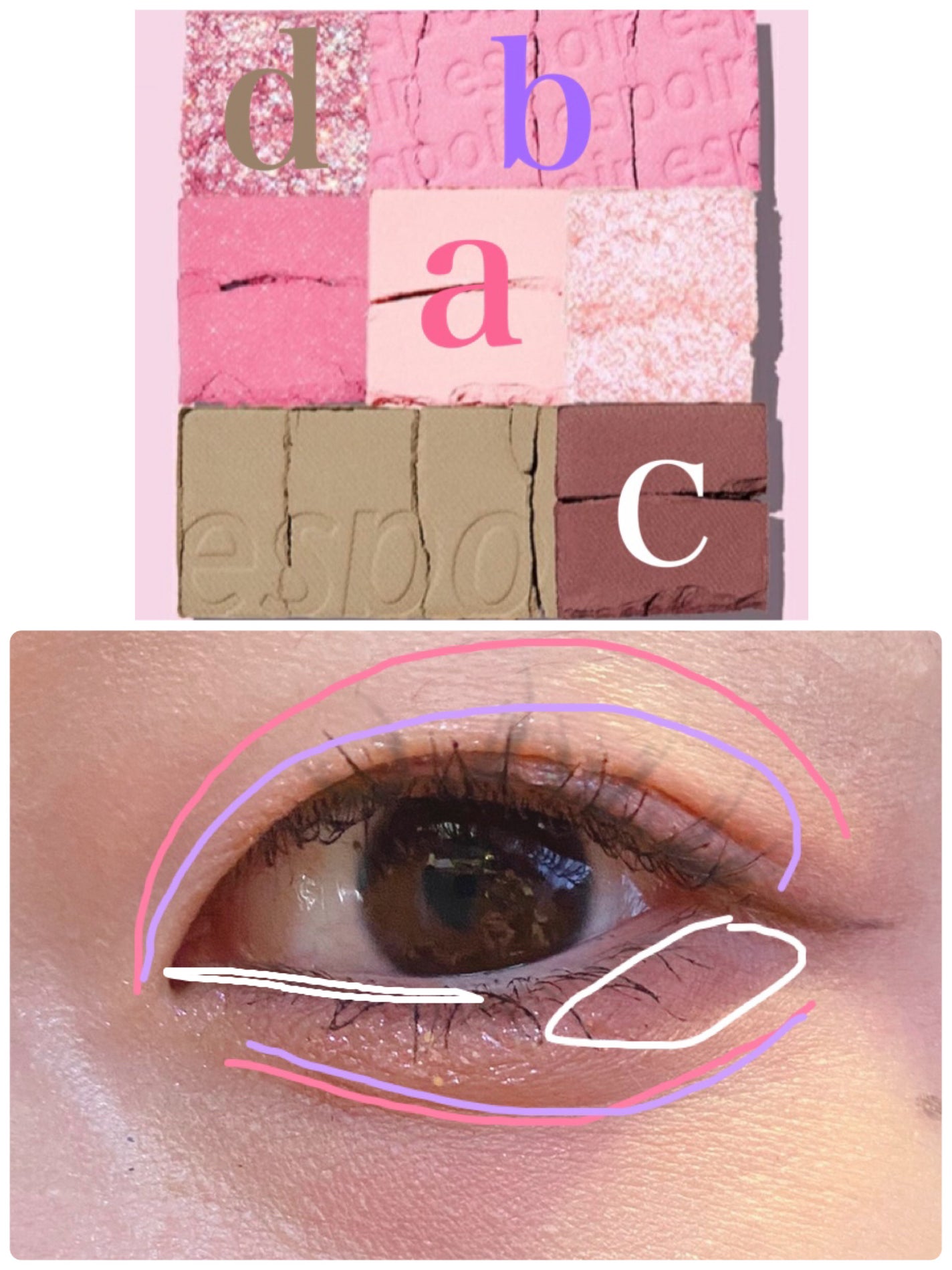 リアルアイパレット/espoir/マルチパレットを使ったクチコミ(4枚目)