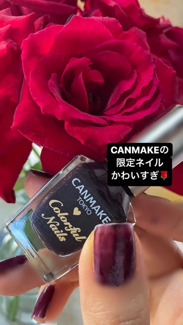 大人っぽい！ぶどう色🍇のダークなネイルが
この秋可愛い！！💜

『CANMAKE カラフルネイルズ N62』

CANMAKEから告知が出て発売まで、
ずっと待ってました💜
仕事には付けて行けませんが、