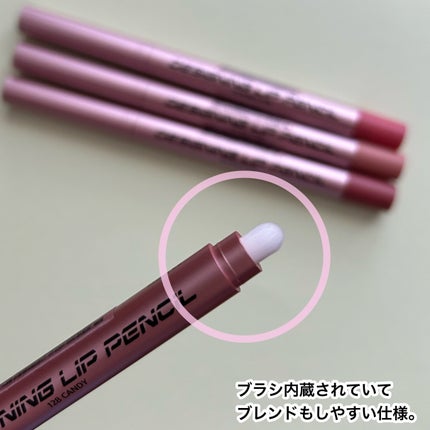 オールマイシングス トゥルービューティー デザイニング リップペンシル/all my things/リップライナーを使ったクチコミ(8枚目)