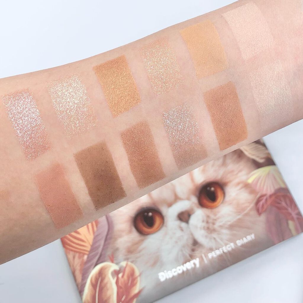 エクスプローラ12色 動物アイシャドウパレット/PERFECT DIARY/アイシャドウパレットを使ったクチコミ(4枚目)