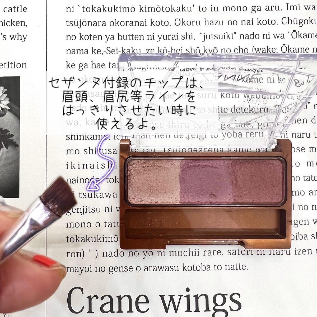 ノーズ＆アイブロウパウダー/CEZANNE/パウダーアイブロウを使ったクチコミ（3枚目）