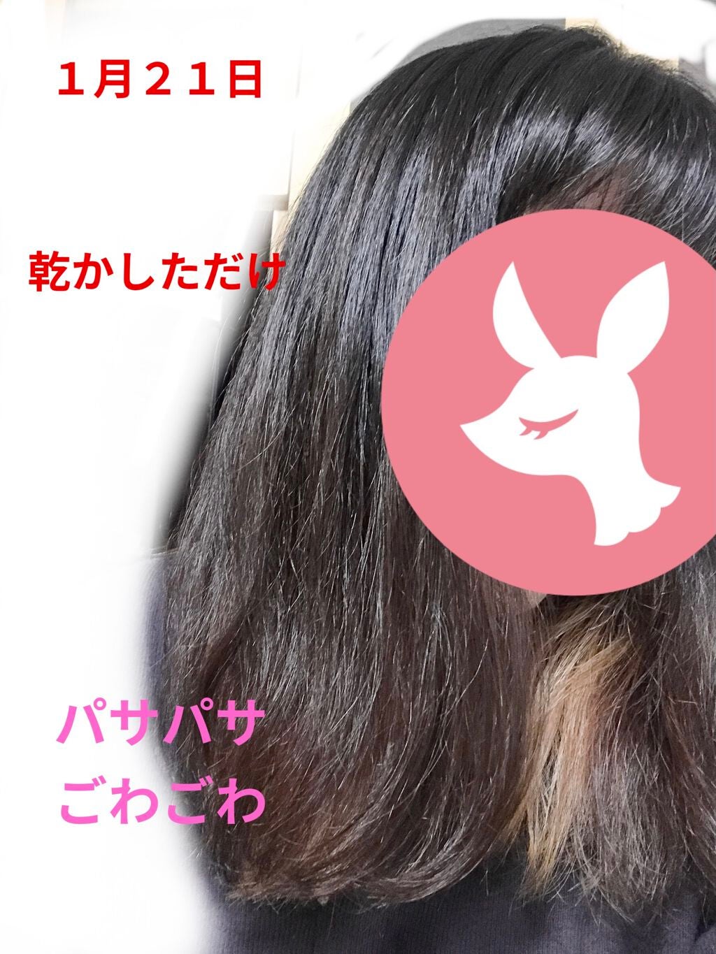 オーガニック シャンプー/トリートメント<ダメージリペア>/AROMA KIFI/シャンプー・コンディショナーを使ったクチコミ(2枚目)