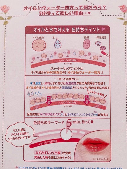 ジューシーリップティント/キャンメイク/口紅を使ったクチコミ(6枚目)