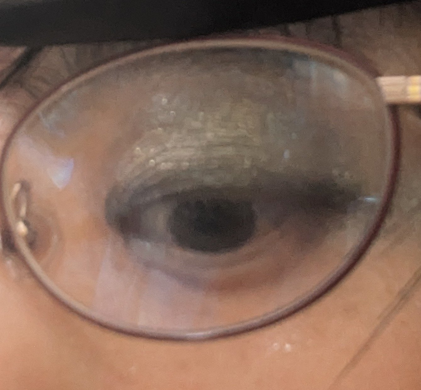 フェイスカラーパレット 510 モノクロームグレイ/チャコット・コスメティクス/アイシャドウパレットを使ったクチコミ（3枚目）