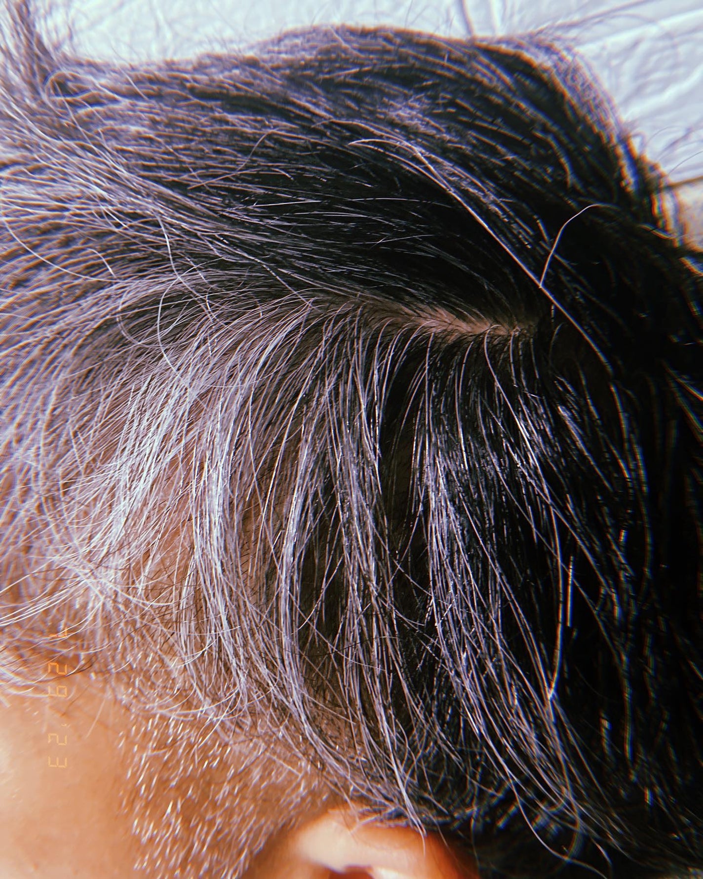 オーロラシャンプー/バレエジャポン/市販シャンプーを使ったクチコミ(4枚目)