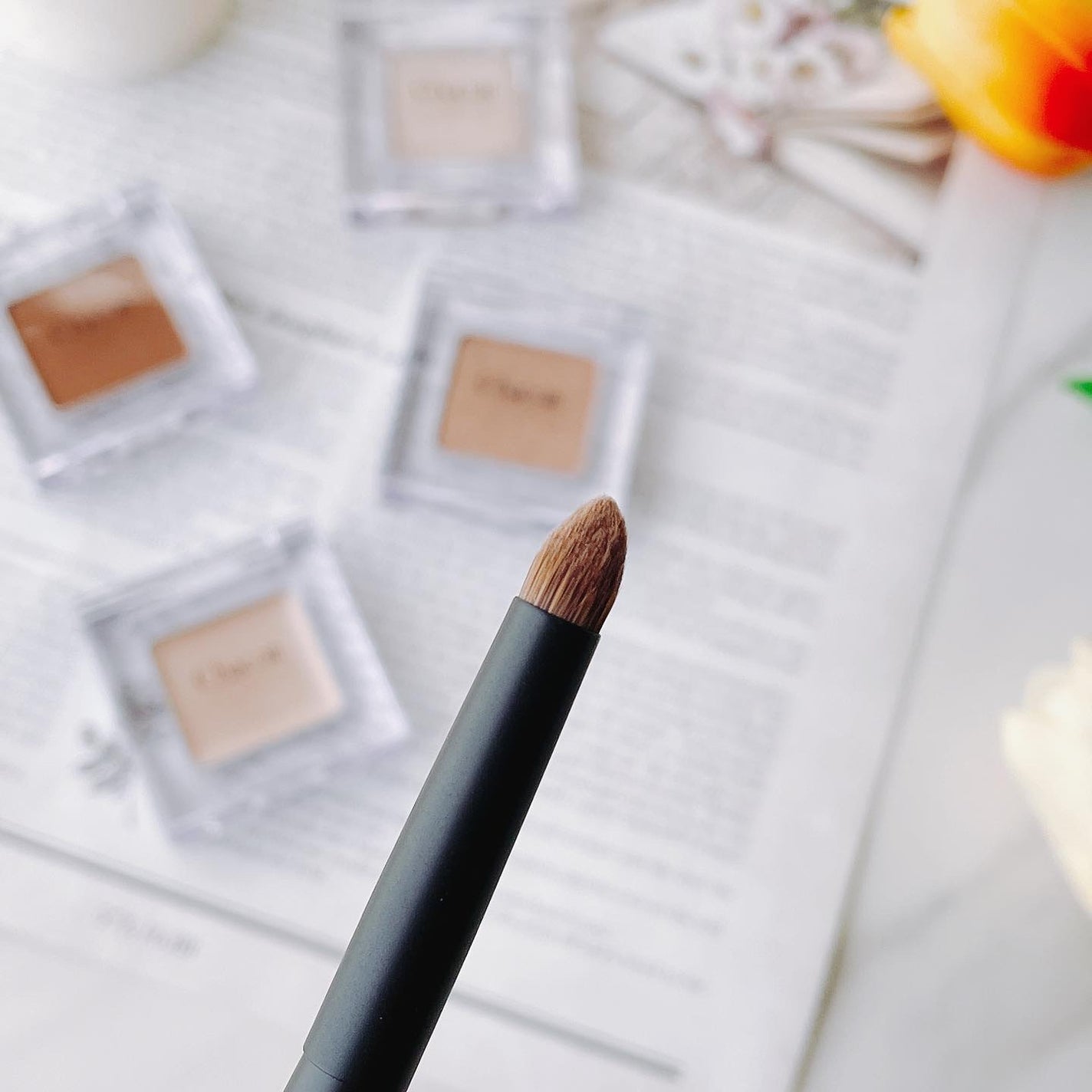 マルチカラーバリエーション マット/チャコット・コスメティクス/単色アイシャドウを使ったクチコミ(5枚目)