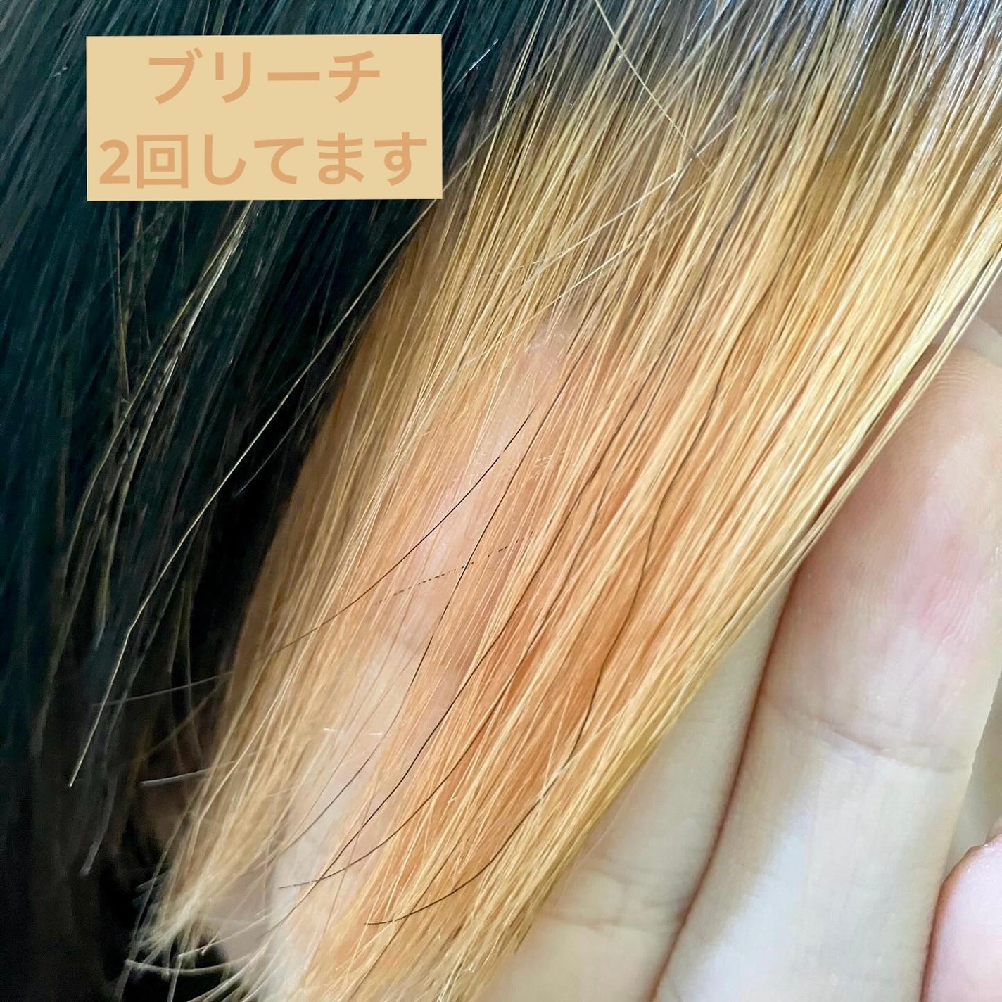 エンシェールズカラーバター/エンシェールズ/ヘアカラーを使ったクチコミ(6枚目)