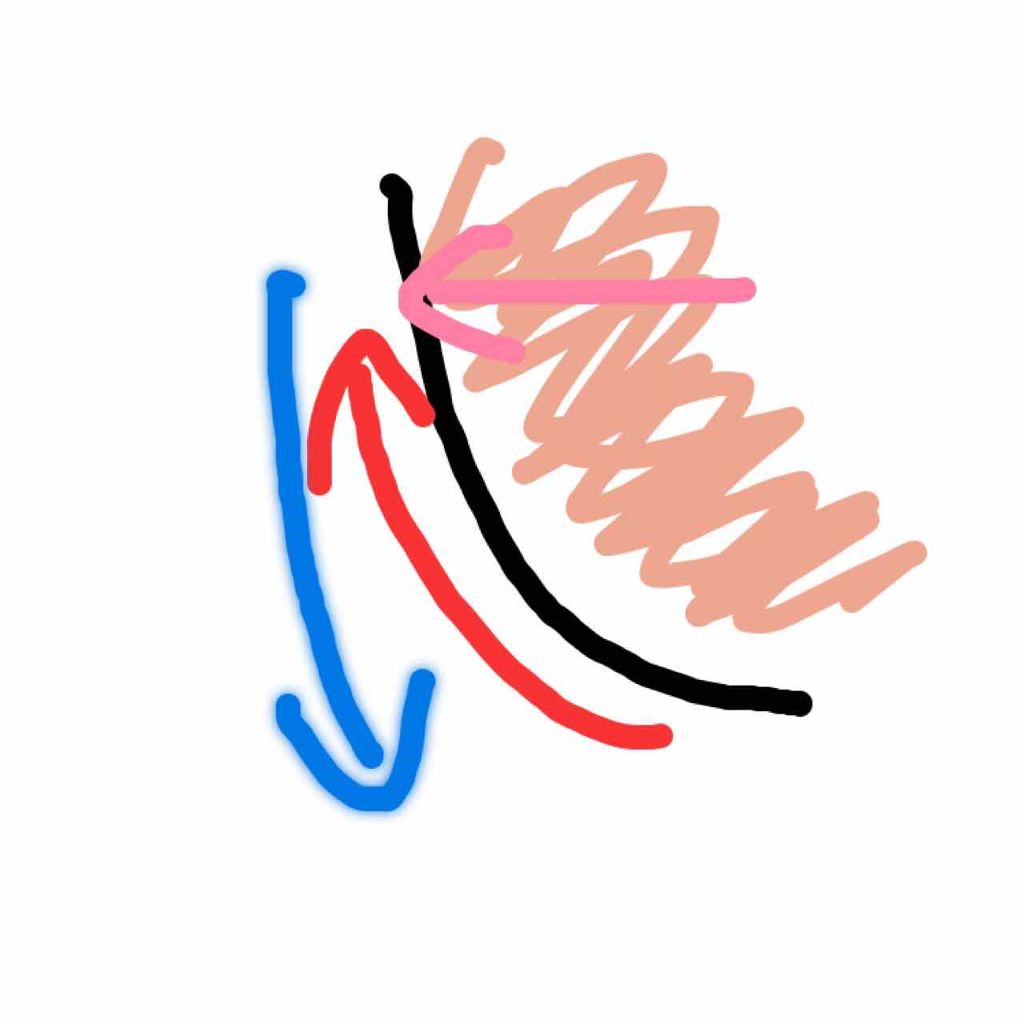 CCリップクリームN/KATE/リップケアを使ったクチコミ（2枚目）