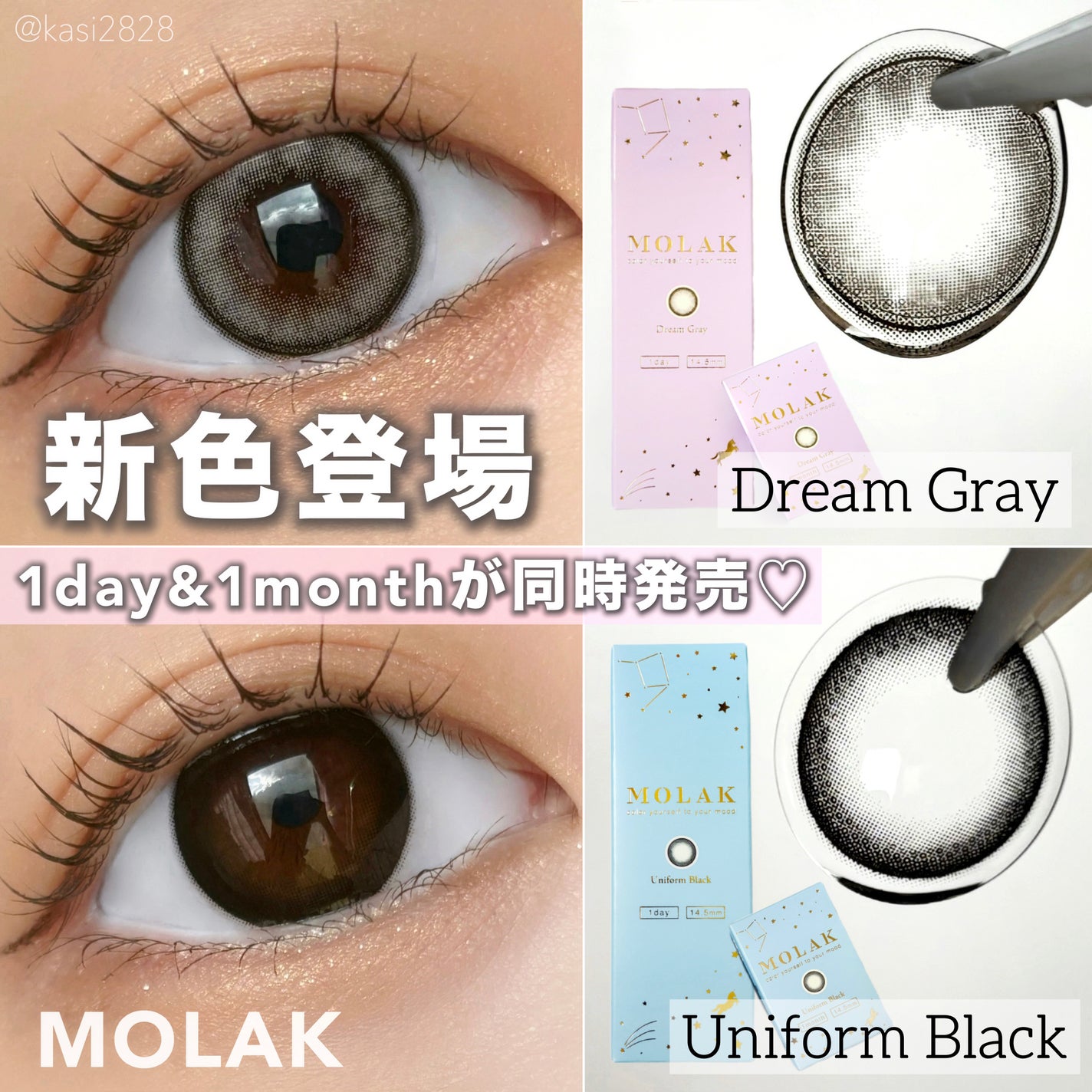 MOLAK 1day/MOLAK/ワンデー(1DAY)カラコンを使ったクチコミ(1枚目)