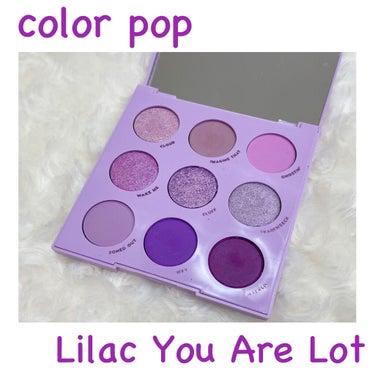 Lilac You A Lot Shadow Palette/ColourPop/パウダーアイシャドウを使ったクチコミ（1枚目）